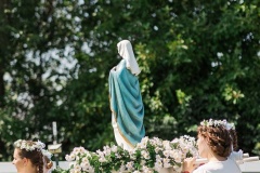 Assumption-31